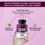 How to use-Lean