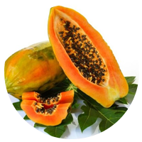 Papaya fruit Extract