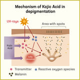 Mechanism-of-Kojic-Acid-in-depigmentation-Underarm Depigmentation Cream