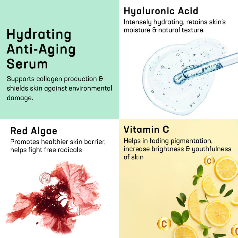 Ingredients-Hydrating Hyaluronic Serum